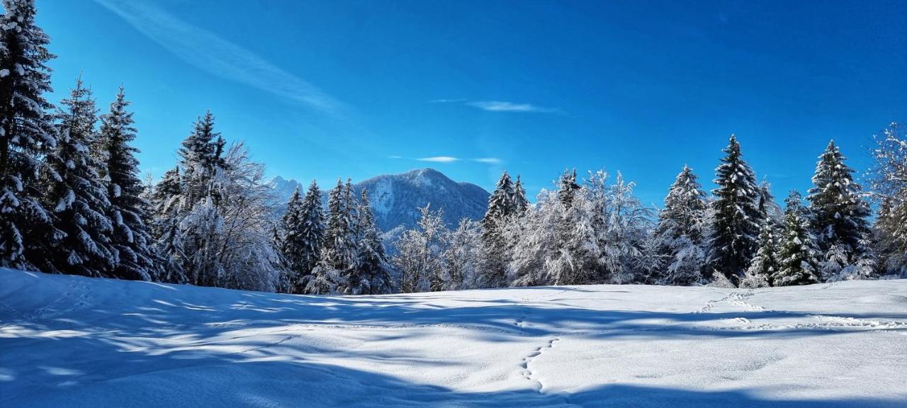 Apartma Ursic Kranjska Gora Eksteriør bilde